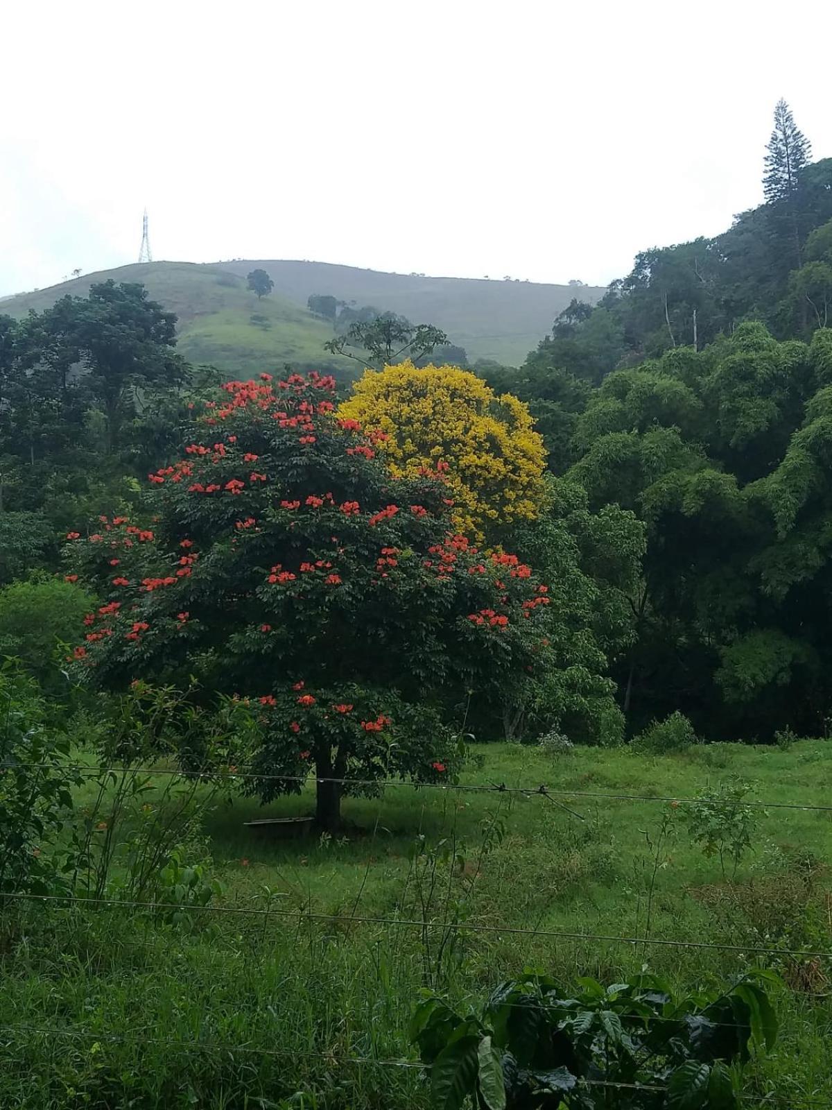 Fazenda Piloes Villa Petrópolis Екстериор снимка